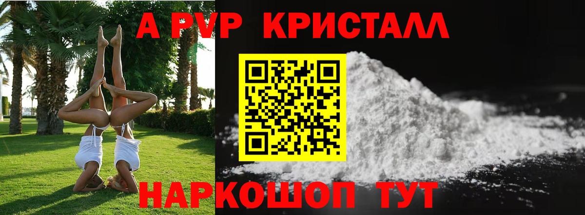 Альфа ПВП СК КРИС Саки