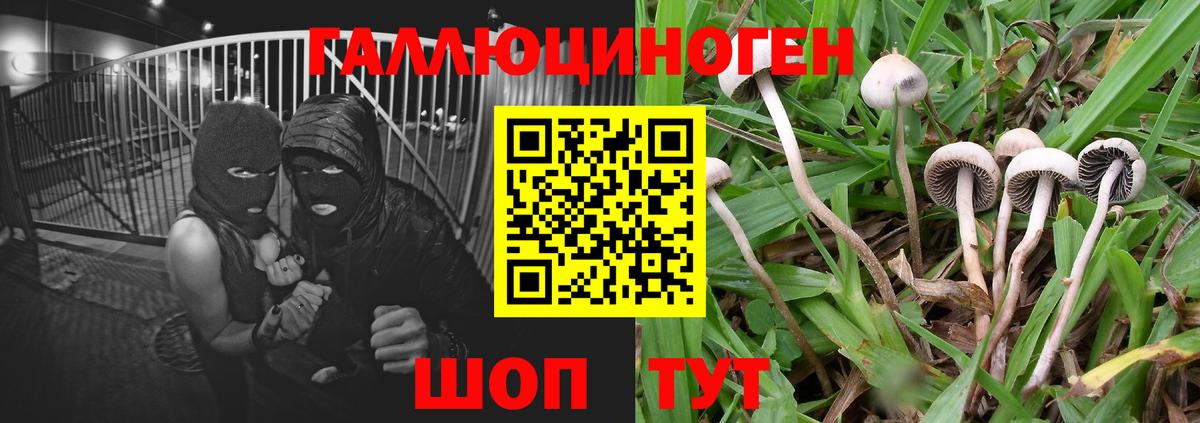 Псилоцибиновые грибы MAGIC MUSHROOMS  Вход с VPN  Саки  Галлюциногенные грибы ЛСД 